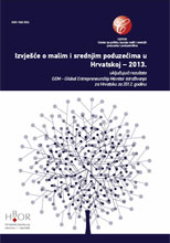 sme izvješće 2013