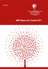 sme-report-2011