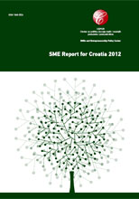 sme-report-2012